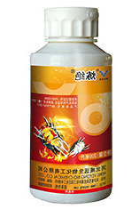 炼绝