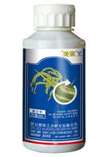 蓝锐