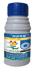 银早咣咣