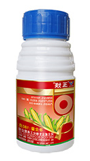 玉媄